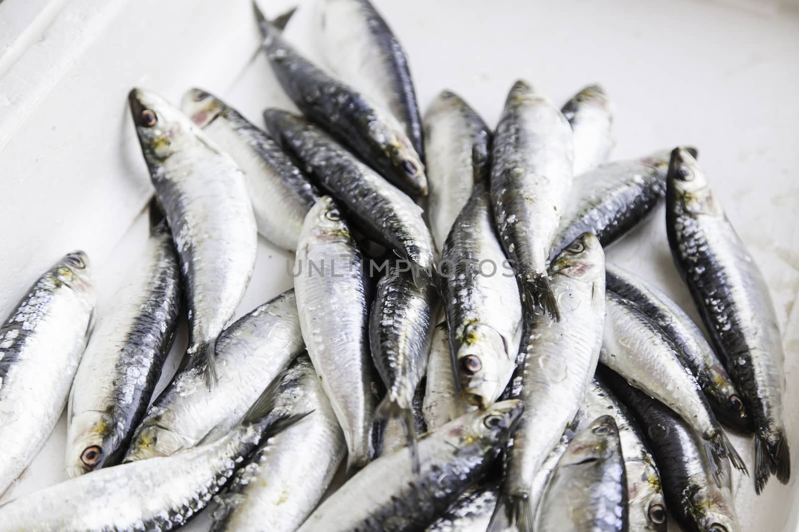 Fresh fish in a market, detail of an old market, healthy food
