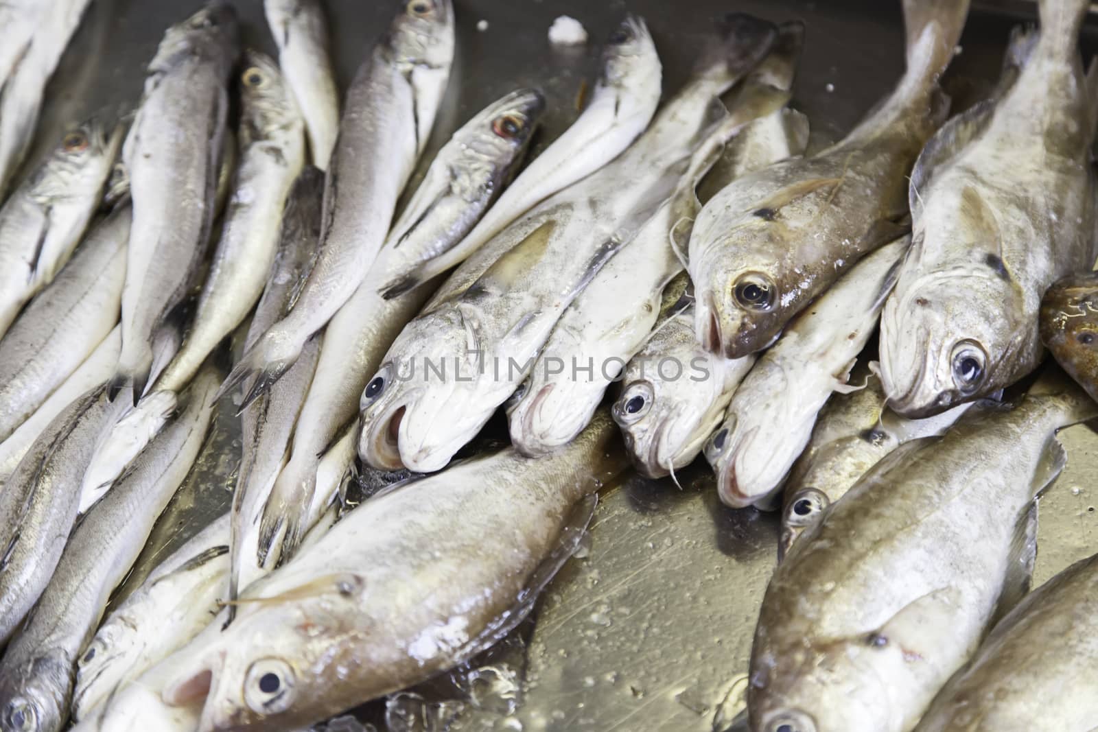 Fresh fish in a market, detail of an old market, healthy food