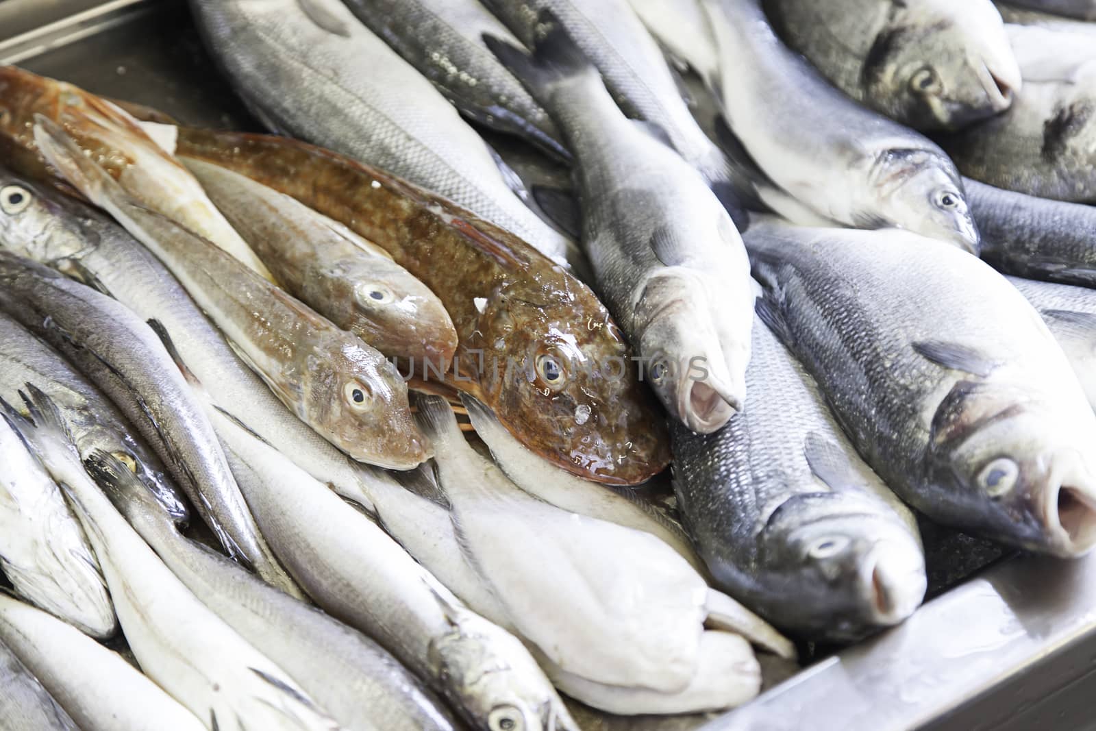 Fresh fish in a market, detail of an old market, healthy food