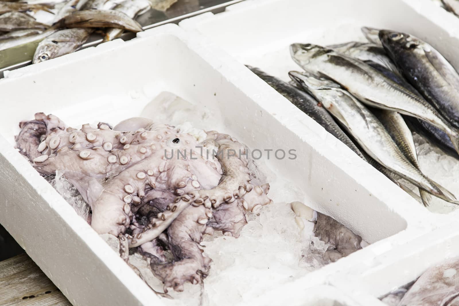 Fresh fish in a market, detail of an old market, healthy food