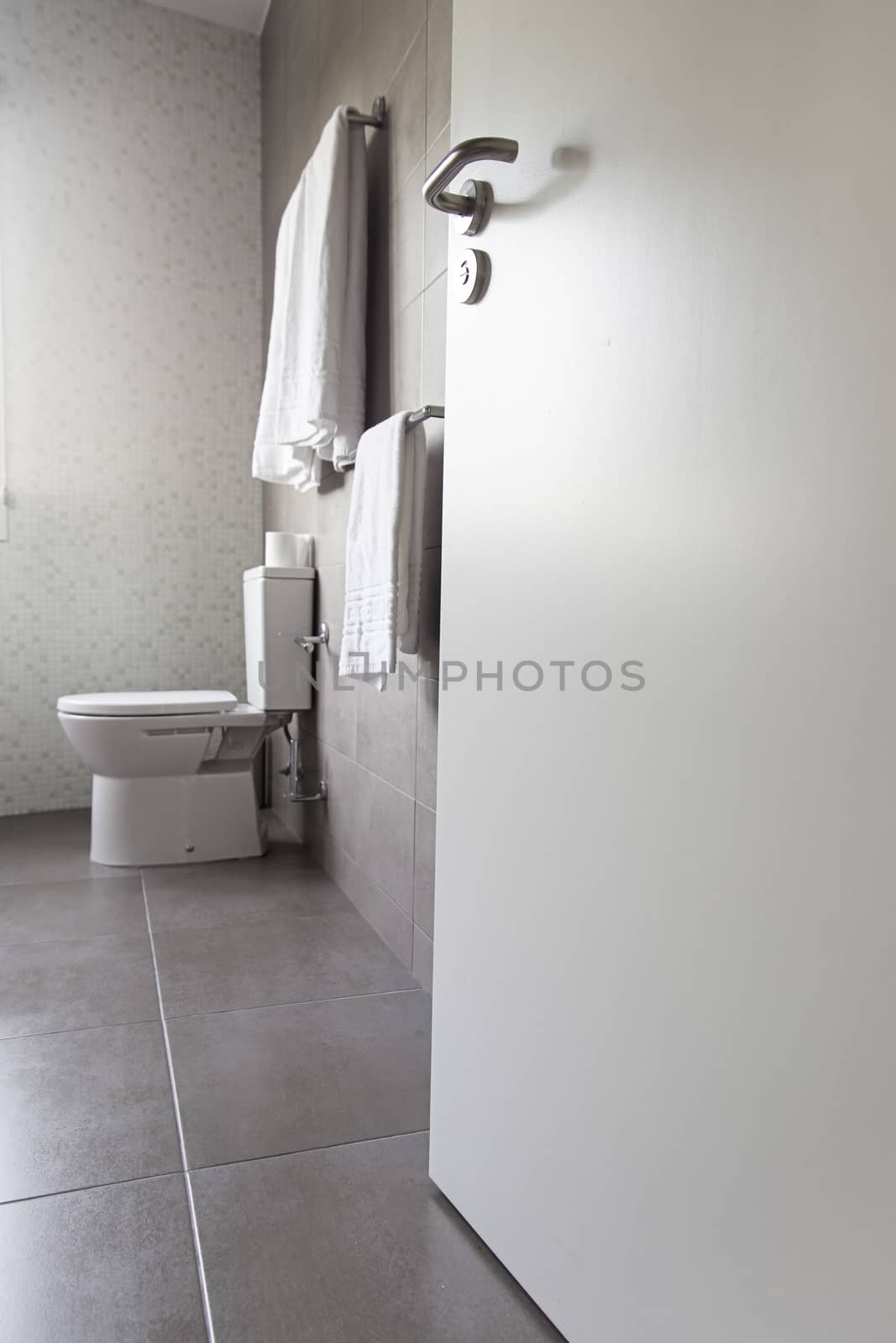 Modern bathroom, detail of a decorated bathroom, modernist architecture