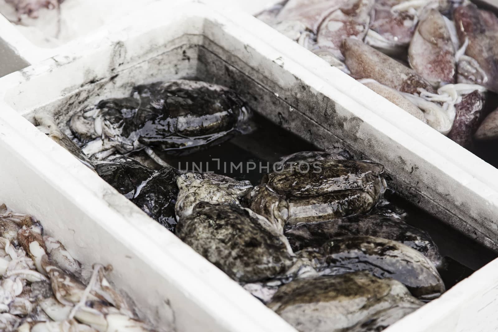 Fresh fish in a market, detail of an old market, healthy food