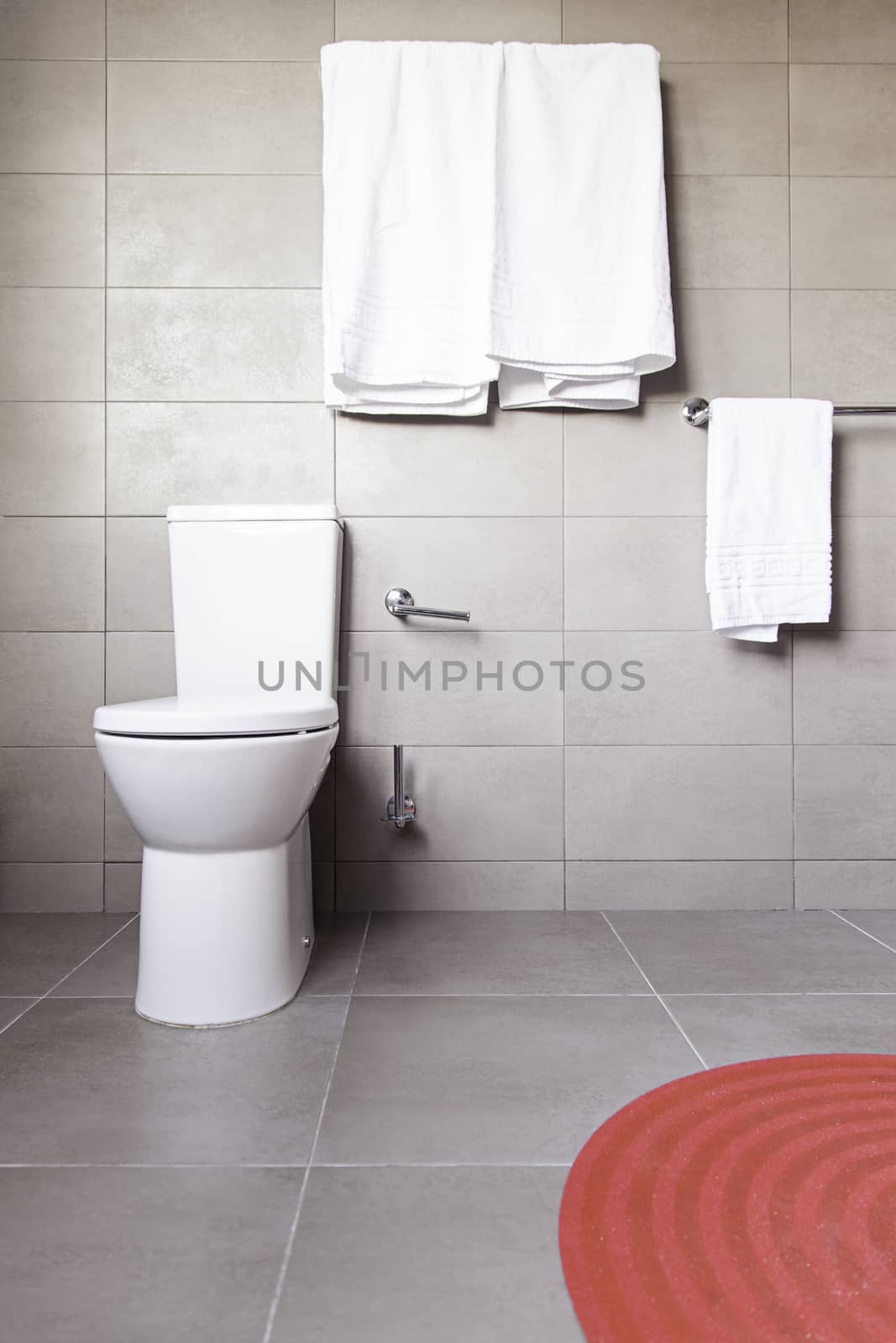 Modern bathroom, detail of a decorated bathroom, modernist architecture