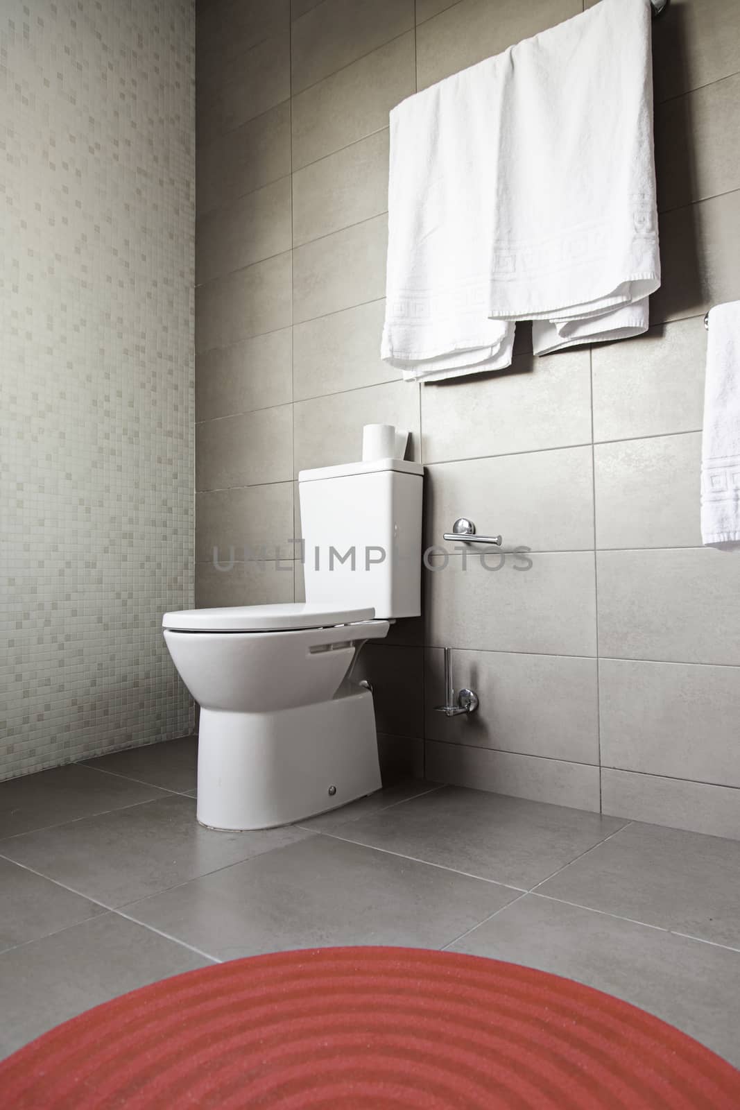 Modern bathroom, detail of a decorated bathroom, modernist architecture
