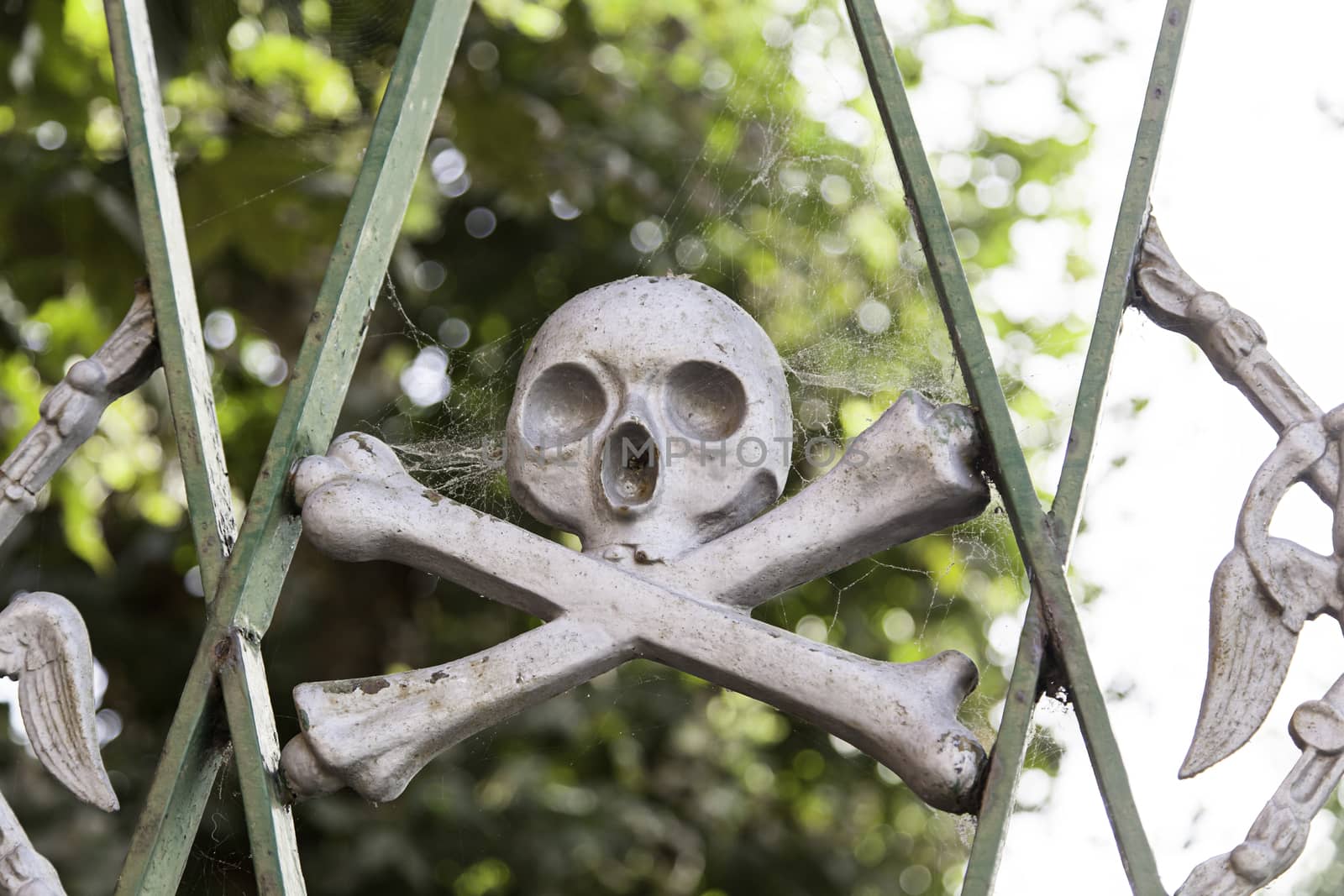Skull in a cemetery, detail of decoration, religion