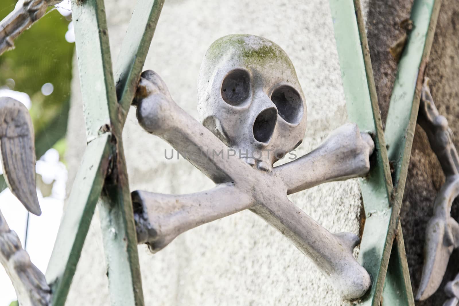 Skull in a cemetery, detail of decoration, religion