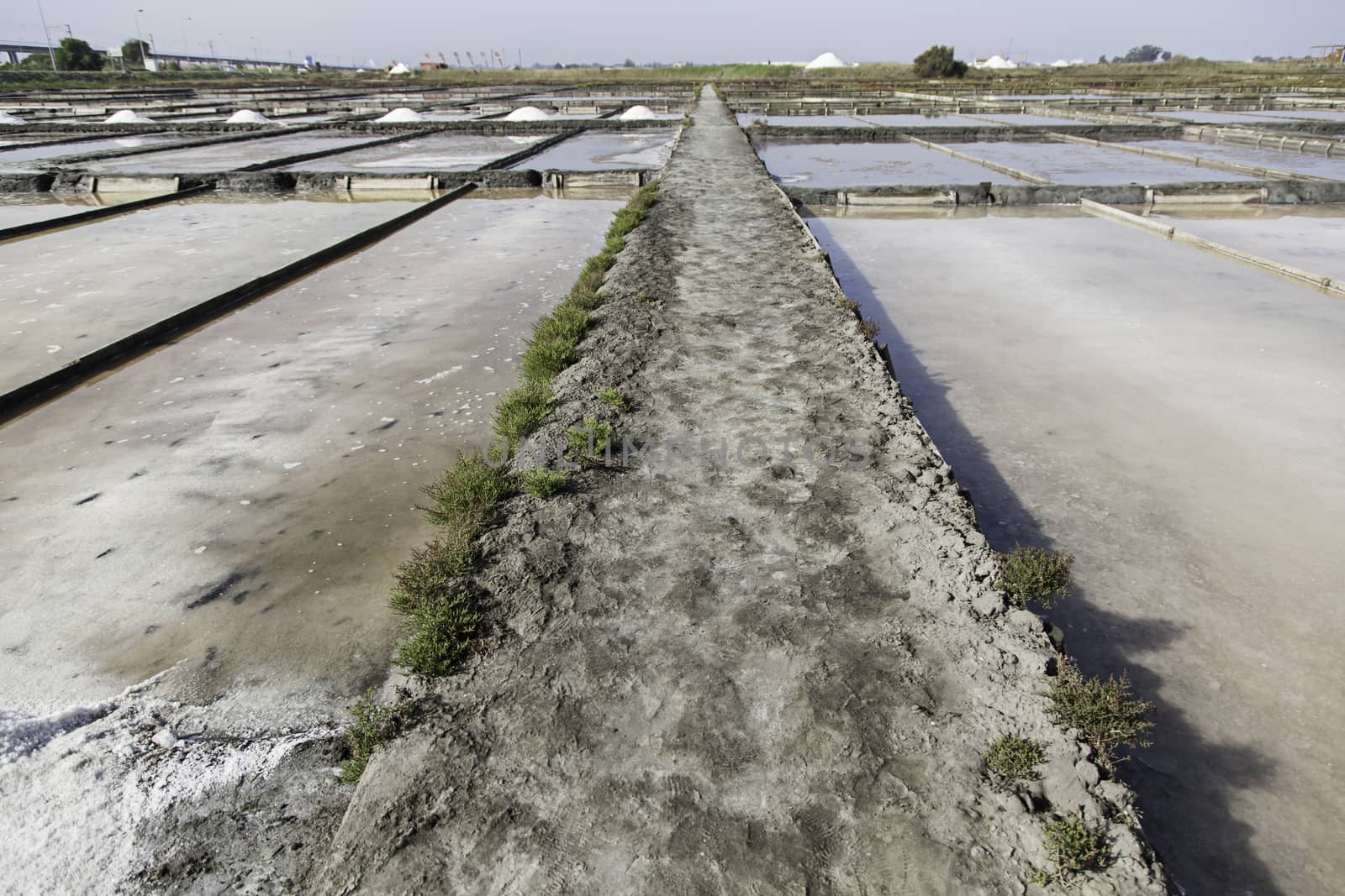 Natural salt mines, detail extraction of salt, water