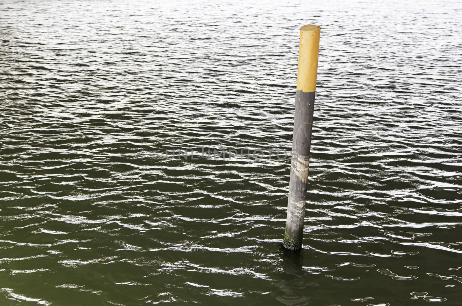 Mooring pole in the water, detail object to tie boats