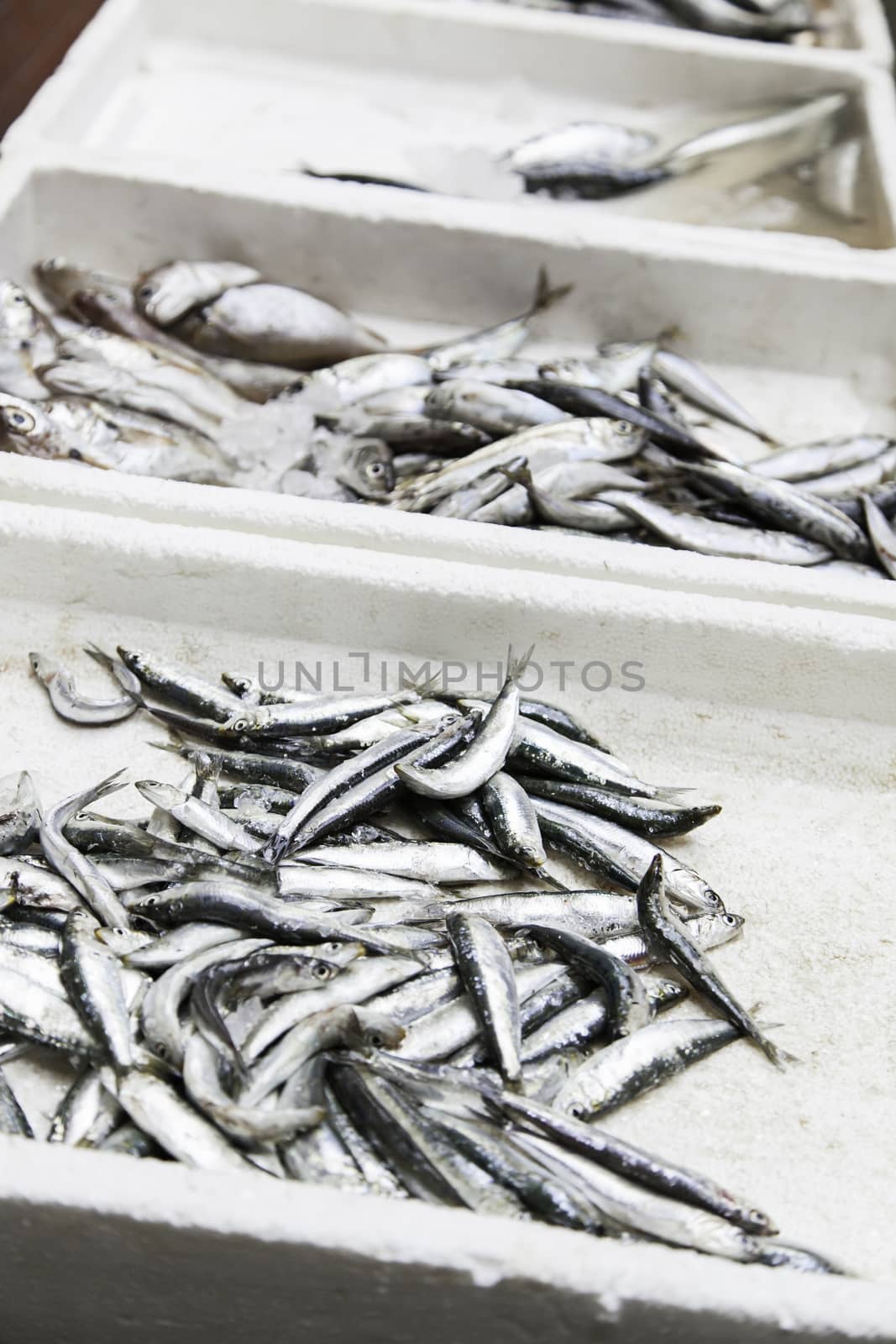 Fresh fish in a market, detail of an old market, healthy food