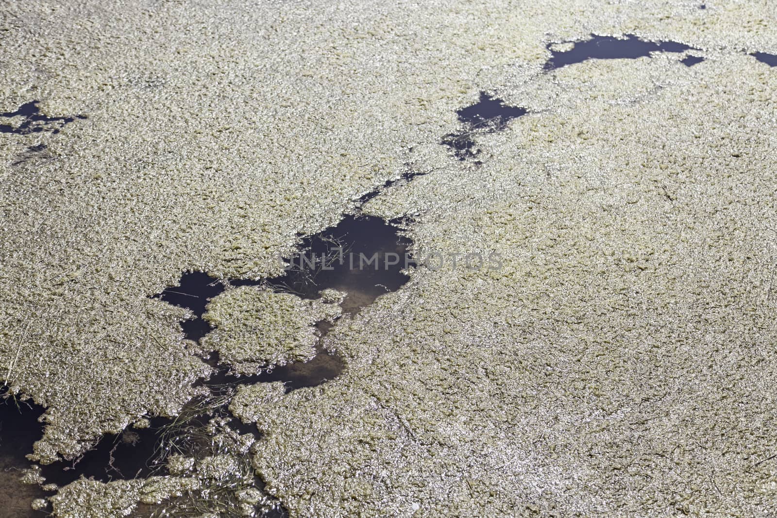 Natural salt mines, detail extraction of salt, water