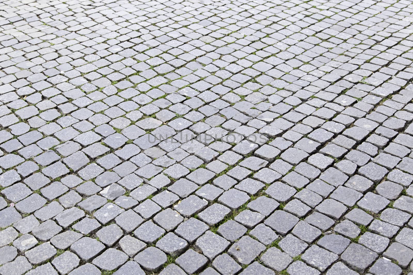 Mosaic floor, detail of a typical floor of the streets of Lisbon