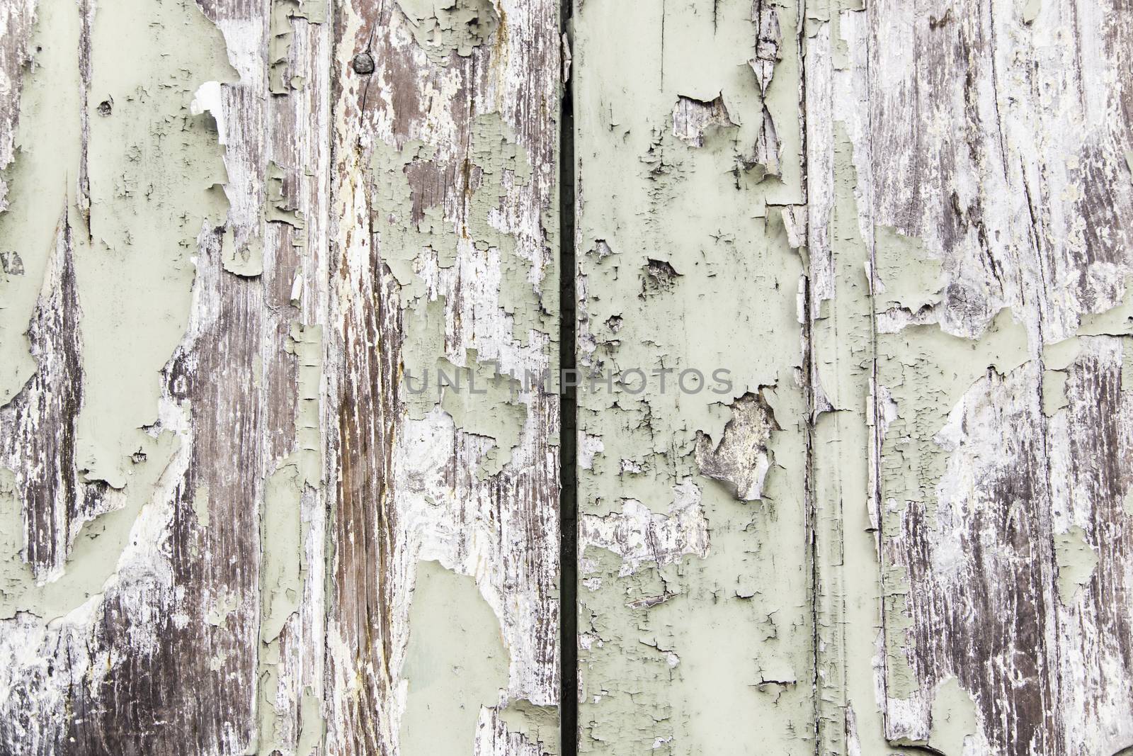 Wood background, detail of old wood, texture