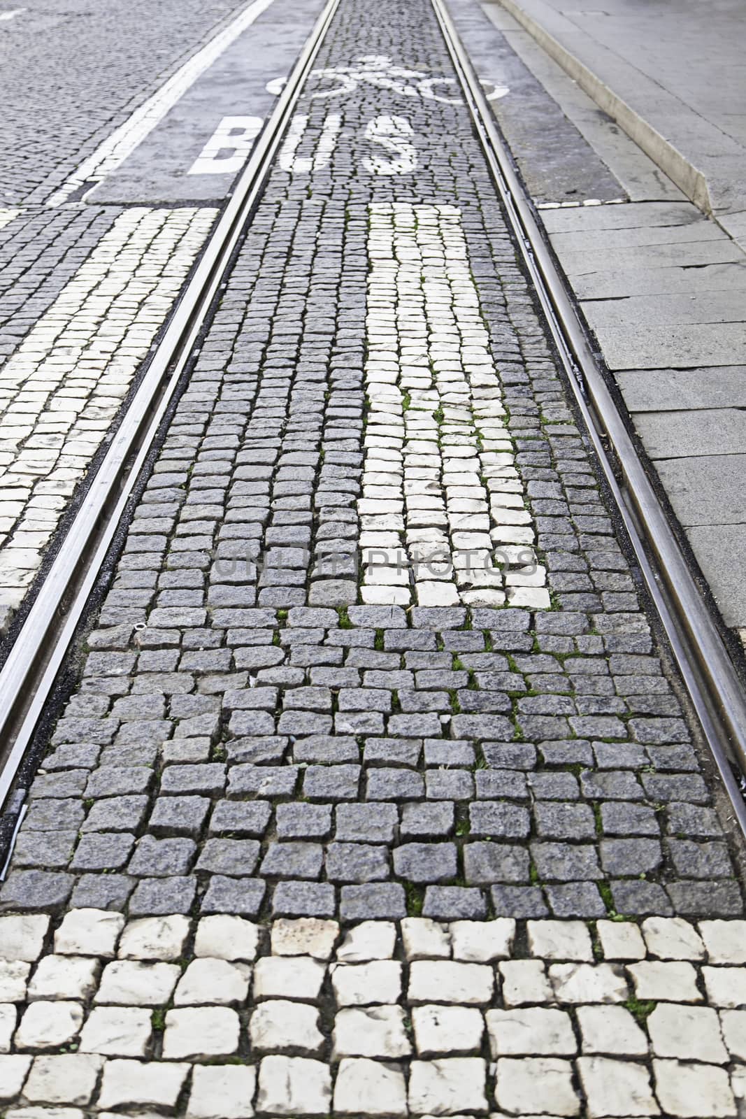 Mosaic floor, detail of a typical floor of the streets of Lisbon