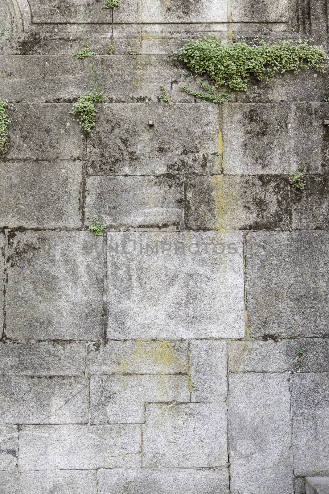 Wall with moss on urban street, construction