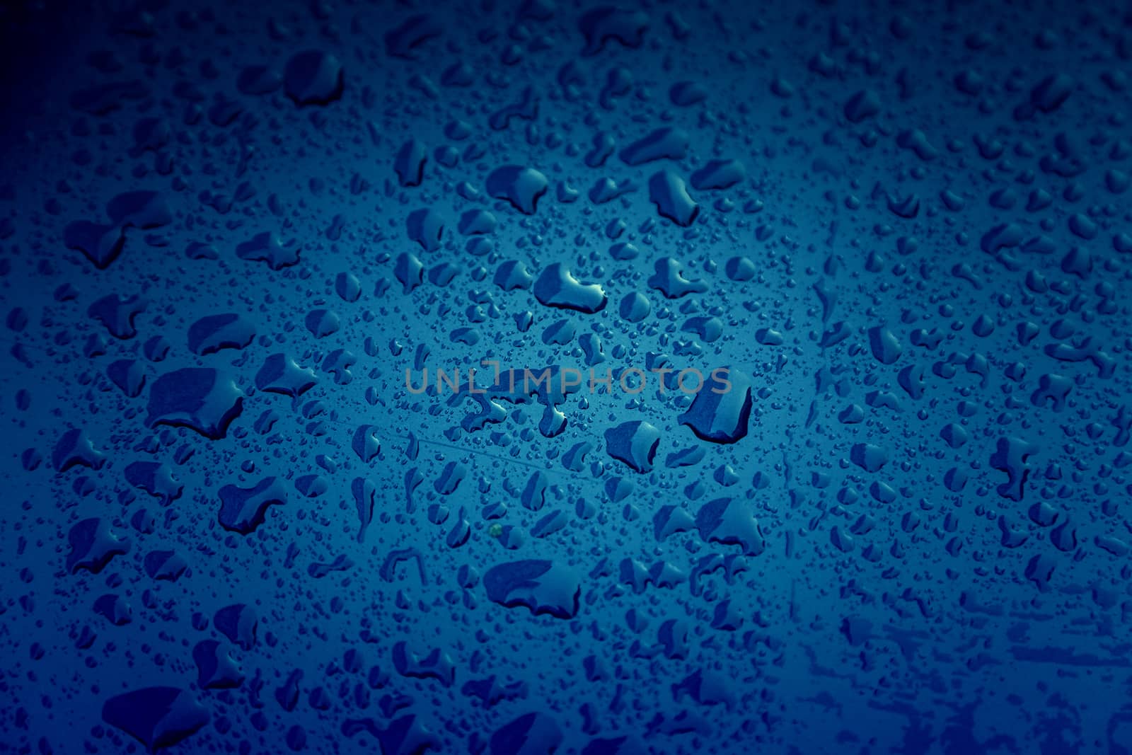 Rain drops, detail of a wet blue background, cold and texture