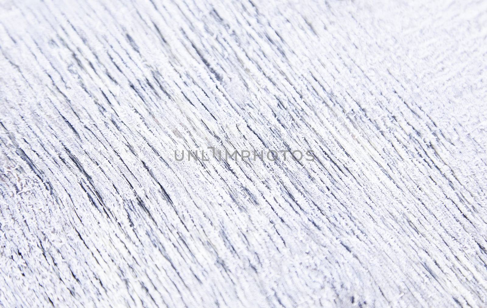 Frozen surface, detail of cold winter
