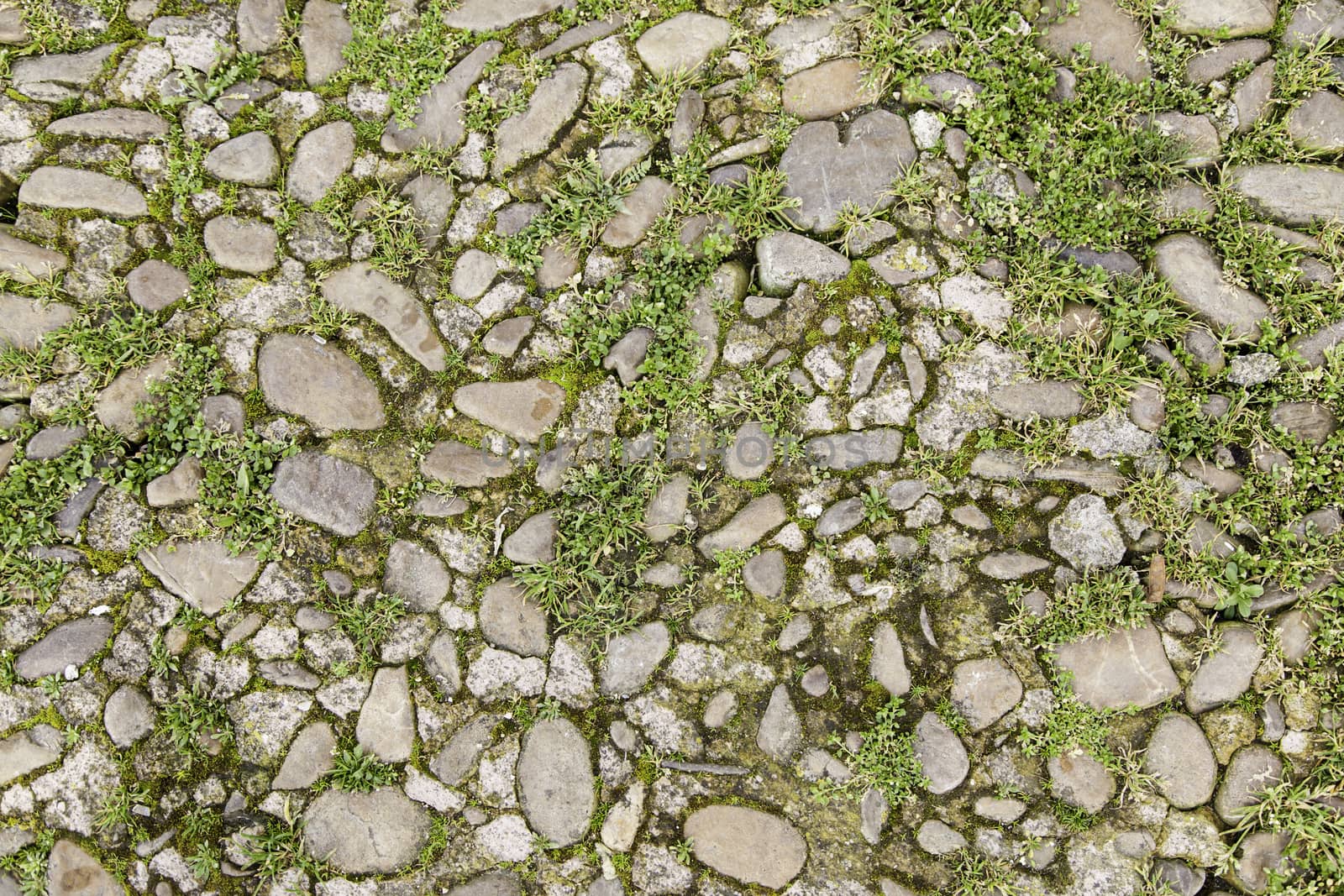 Old stones with moss, detail of an ancient, green floor