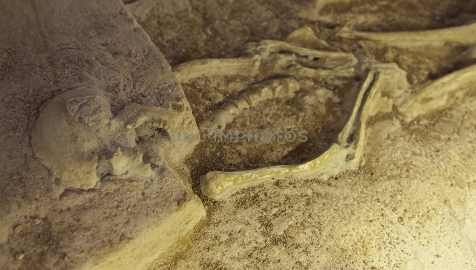 Archaeological excavation, detail of an ancient exploration, prehistory