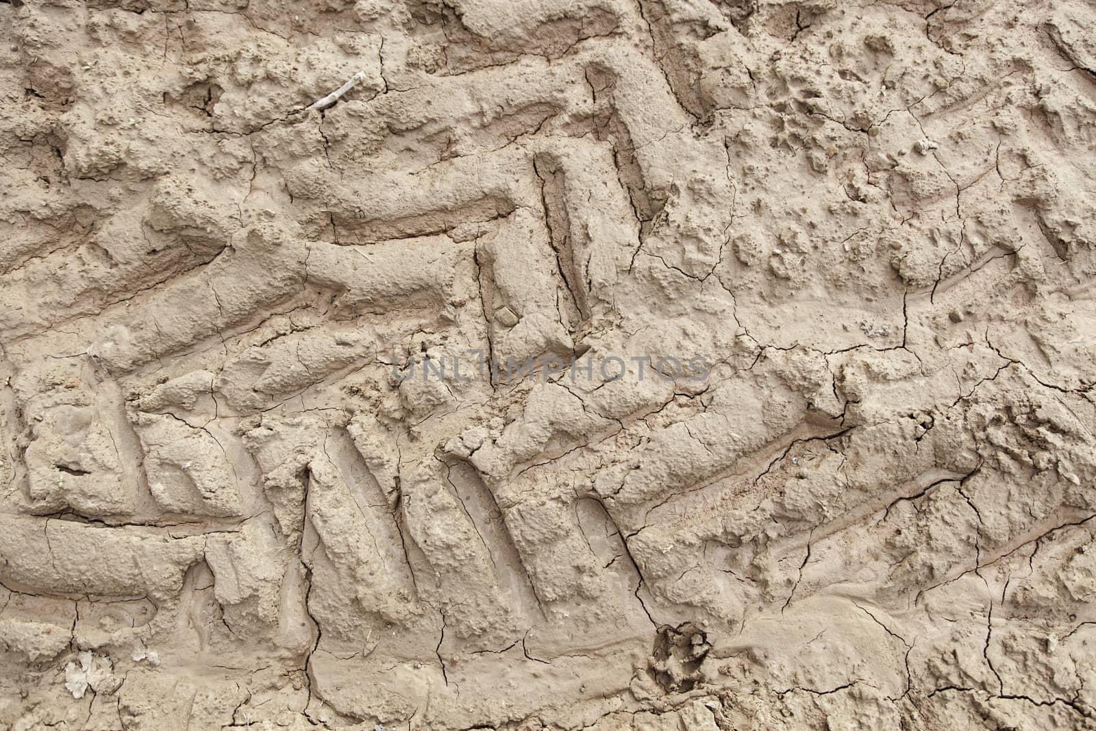 Traces of wheels in the mud, detail of marks in the nature