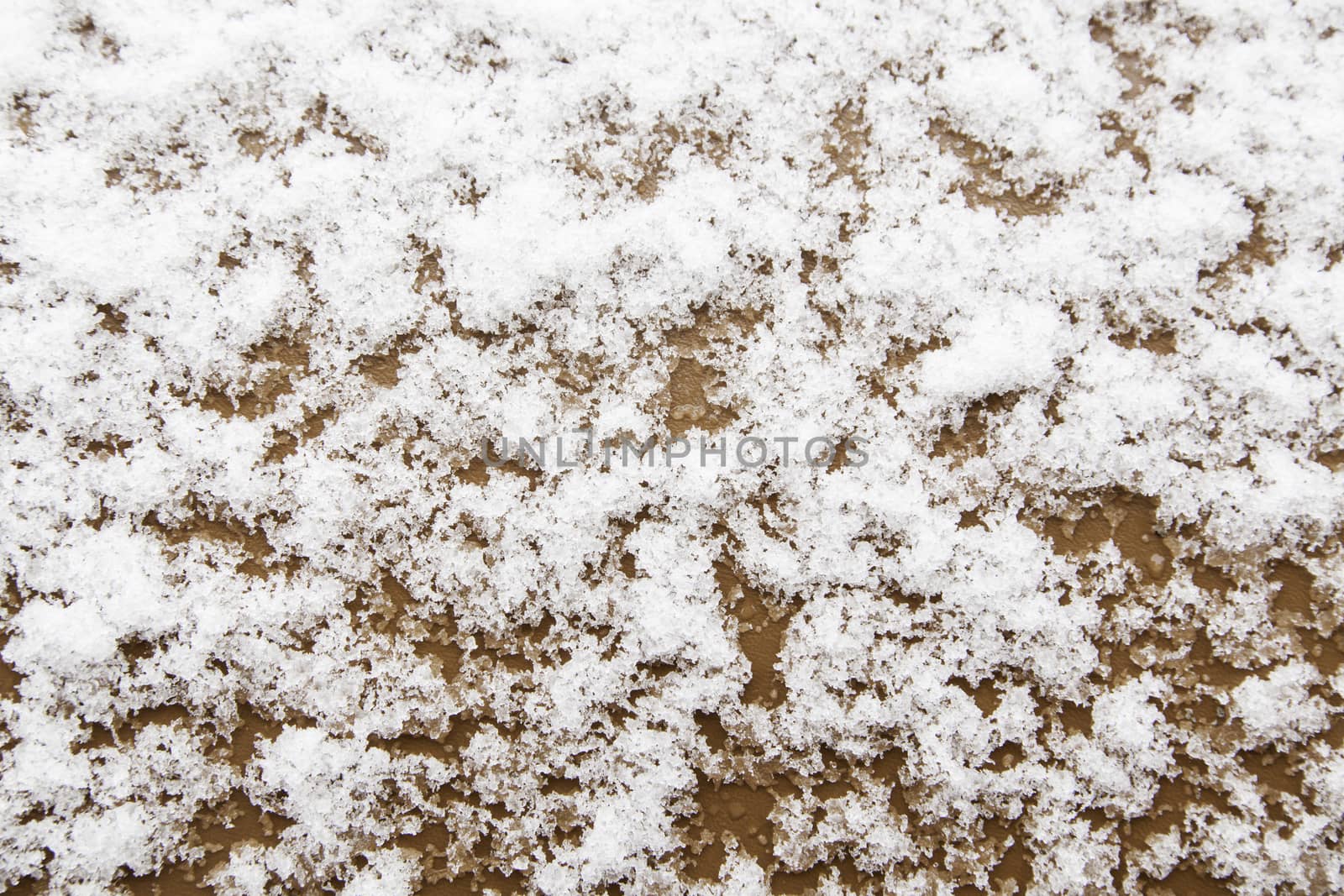 Snowfall winter, detail of a cold winter day, ice