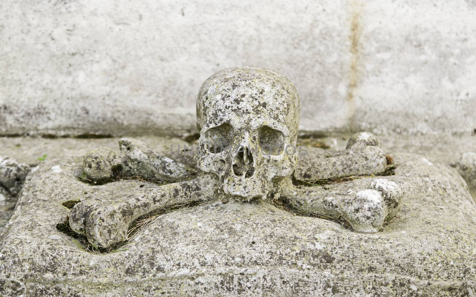 Stone skull, detail of an ancient cemetery, death