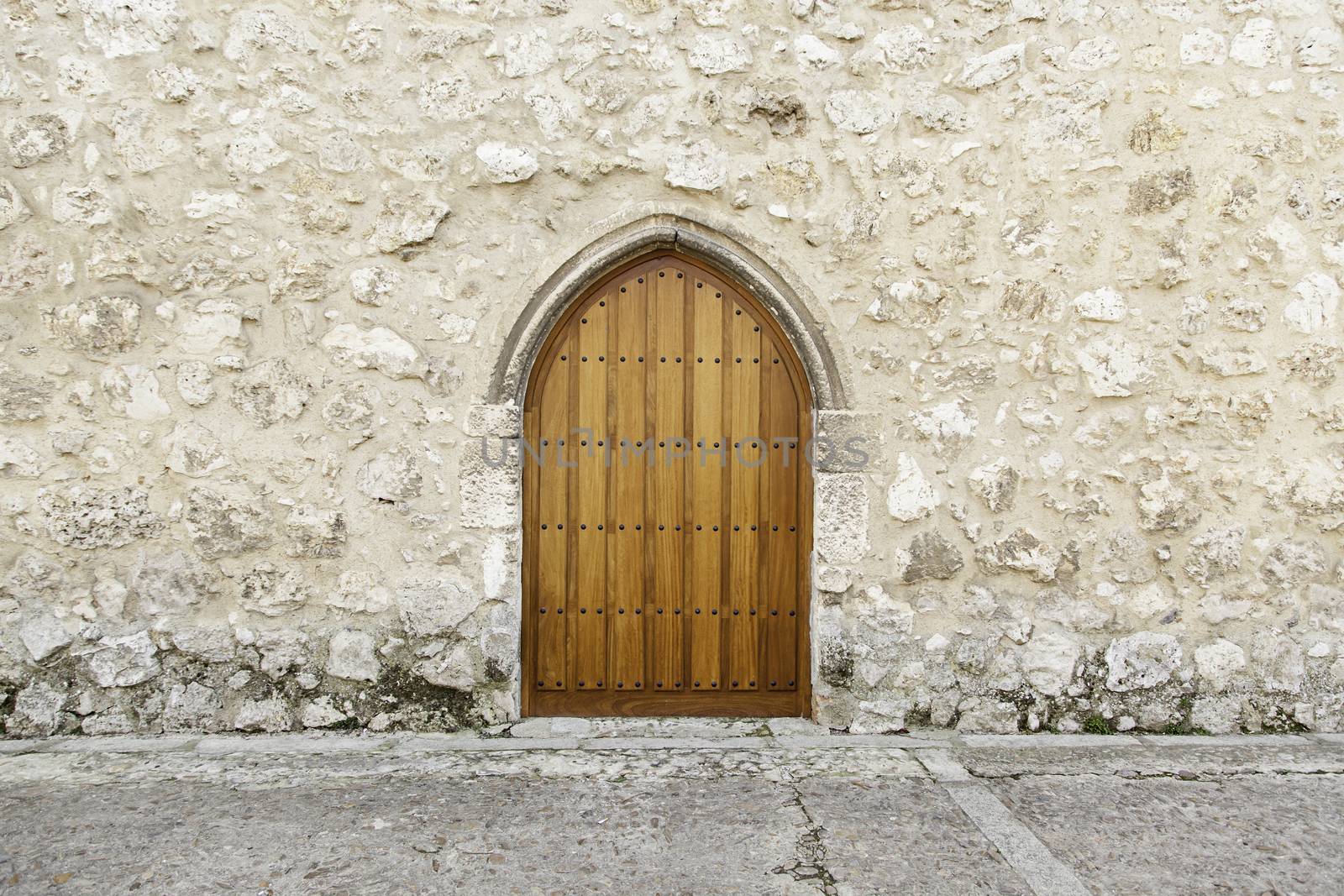 Old medieval door, detail of an old door of a castle