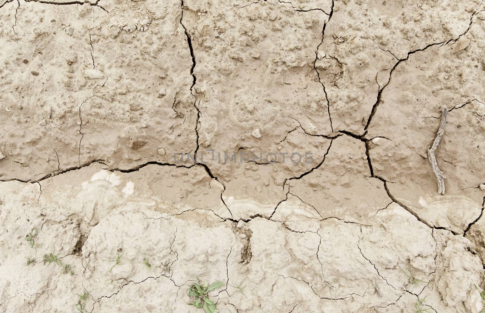 Dry soil by a drought, detail of climate change, ecological disaster