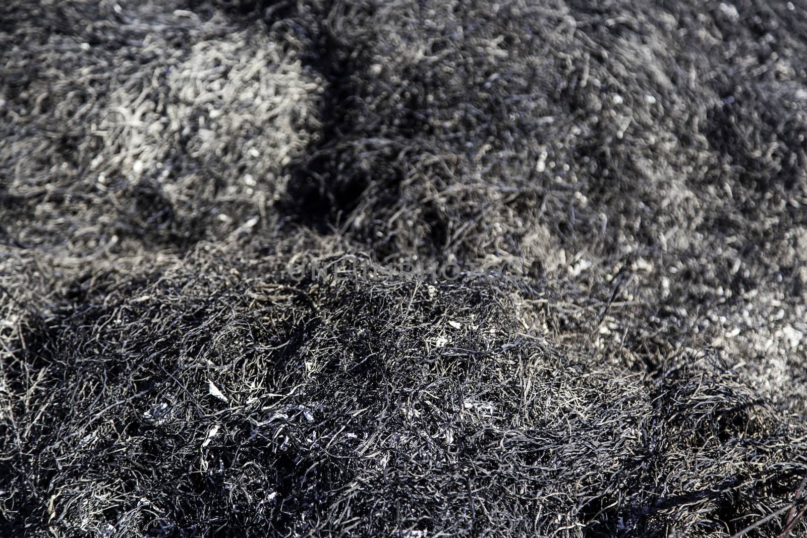 Burned grass, detail of a fire, environmental disaster