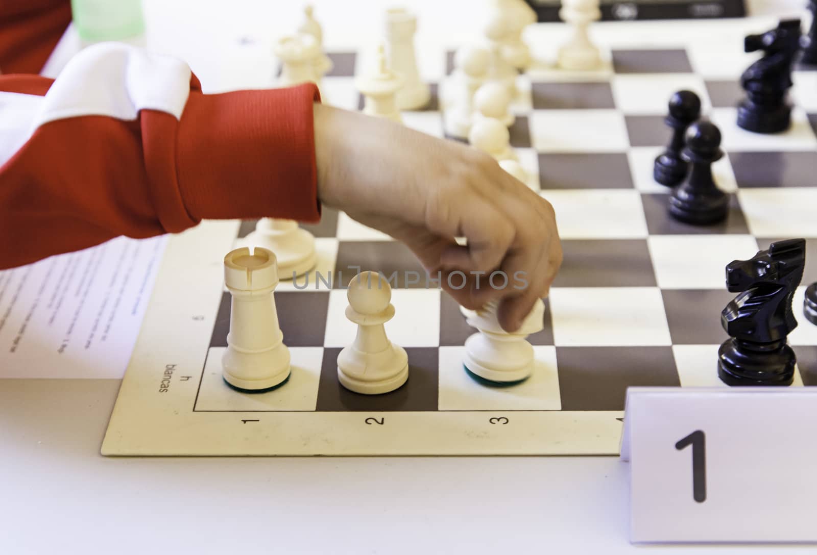 Chess championship, detail of a championship of intelligence, competition, board game