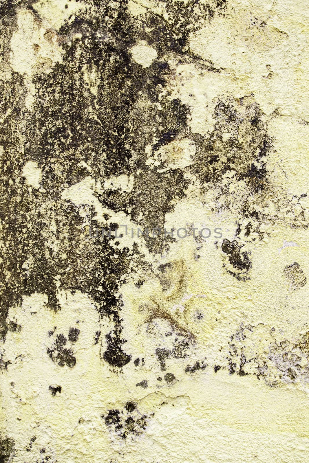Rough cement wall, detail of a textured
