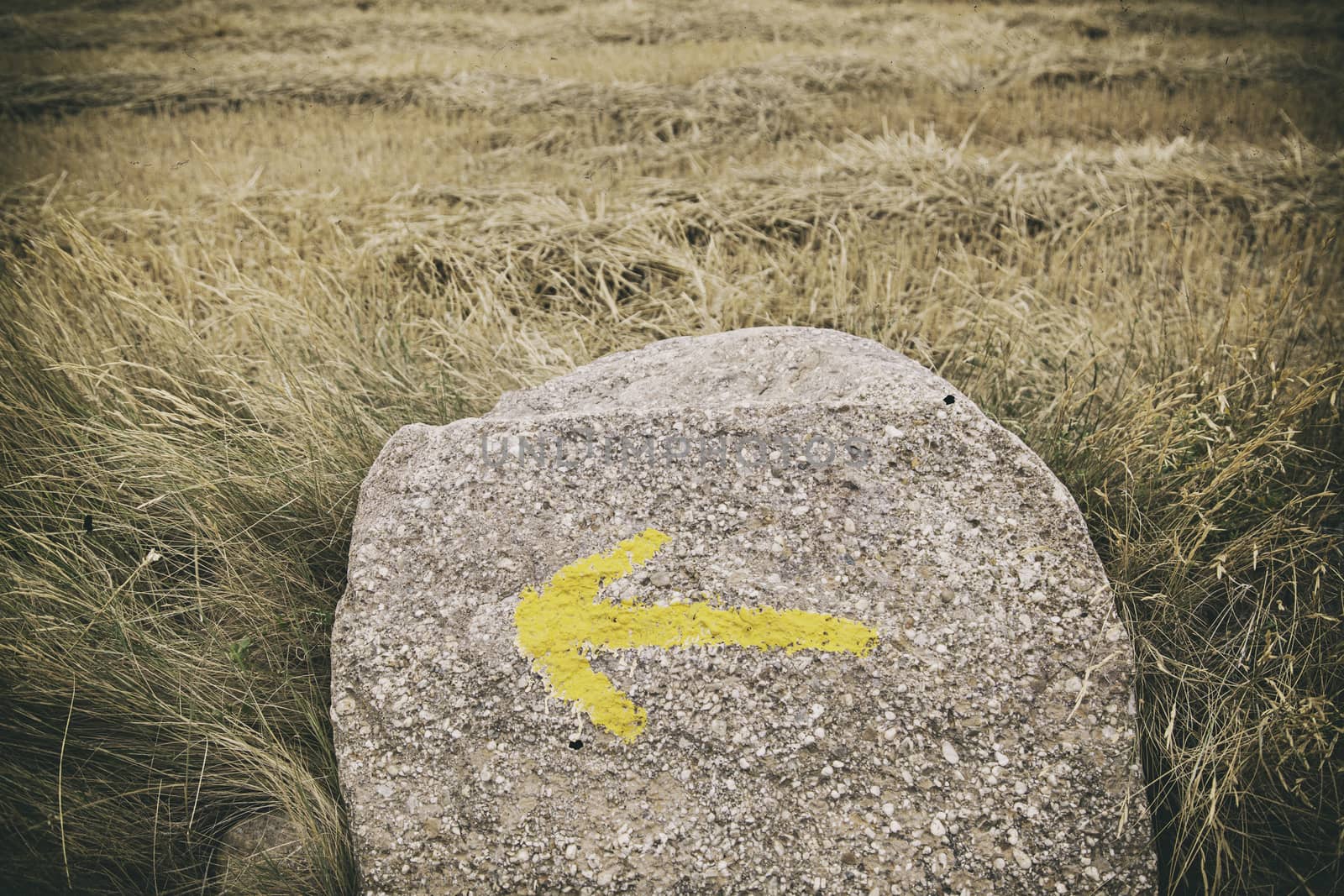 Arrow road of santiago, detail of a sign for pilgrims