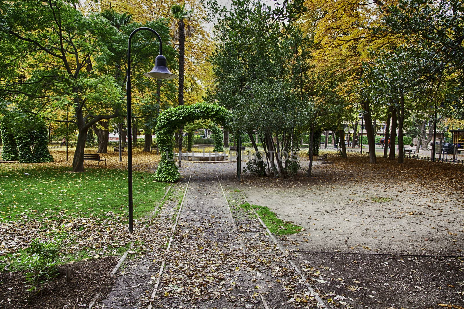 Natural park in the city, detail of a green space, relax and walk