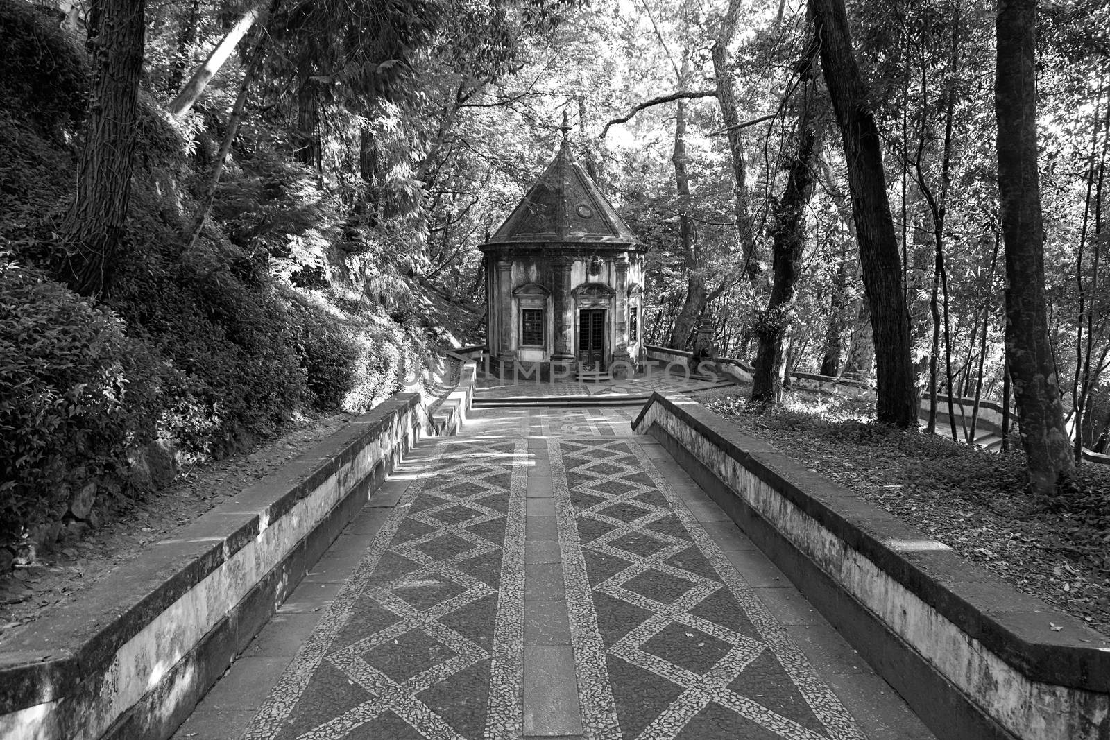 Religious walk in nature, detail of Bom Jesus in Braga, Portuga, place of pregrinacion