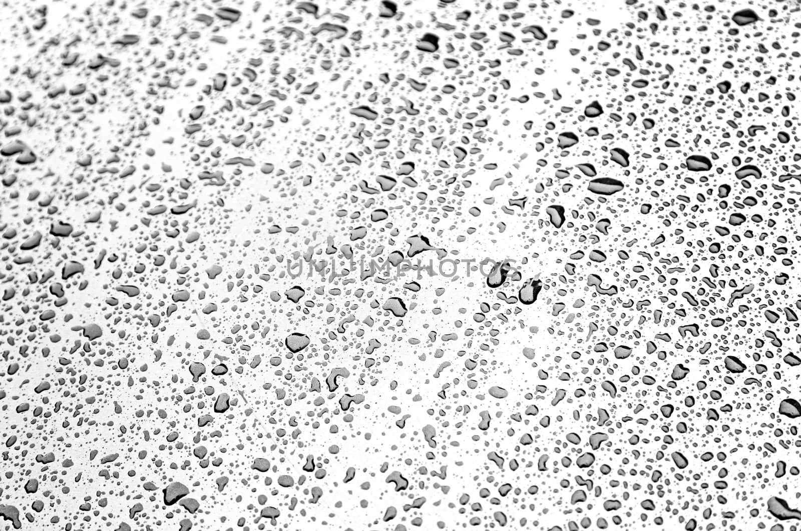 Water drops on blue background, detail of a wet textured background