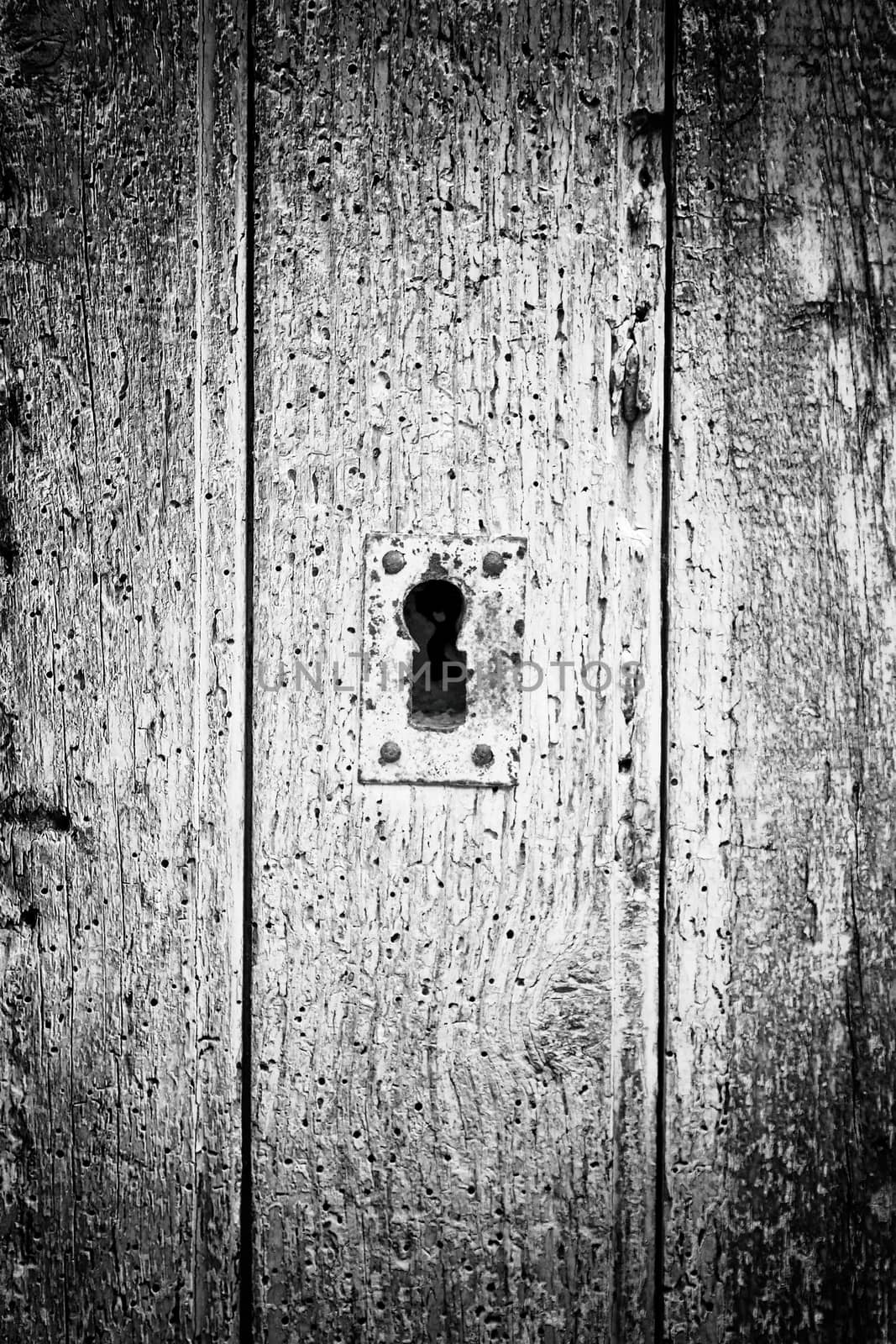 Chipped and old wood, detail of an abandoned wall textured background