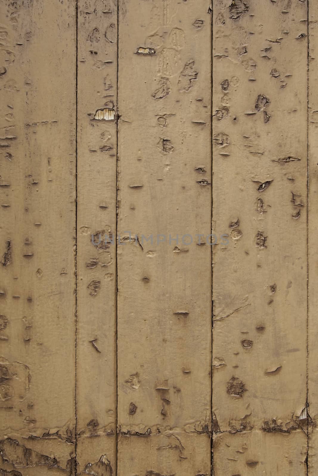 Wood background texture, old spoiled wood
