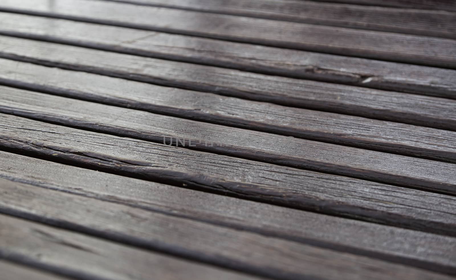 Wood background texture, old spoiled wood