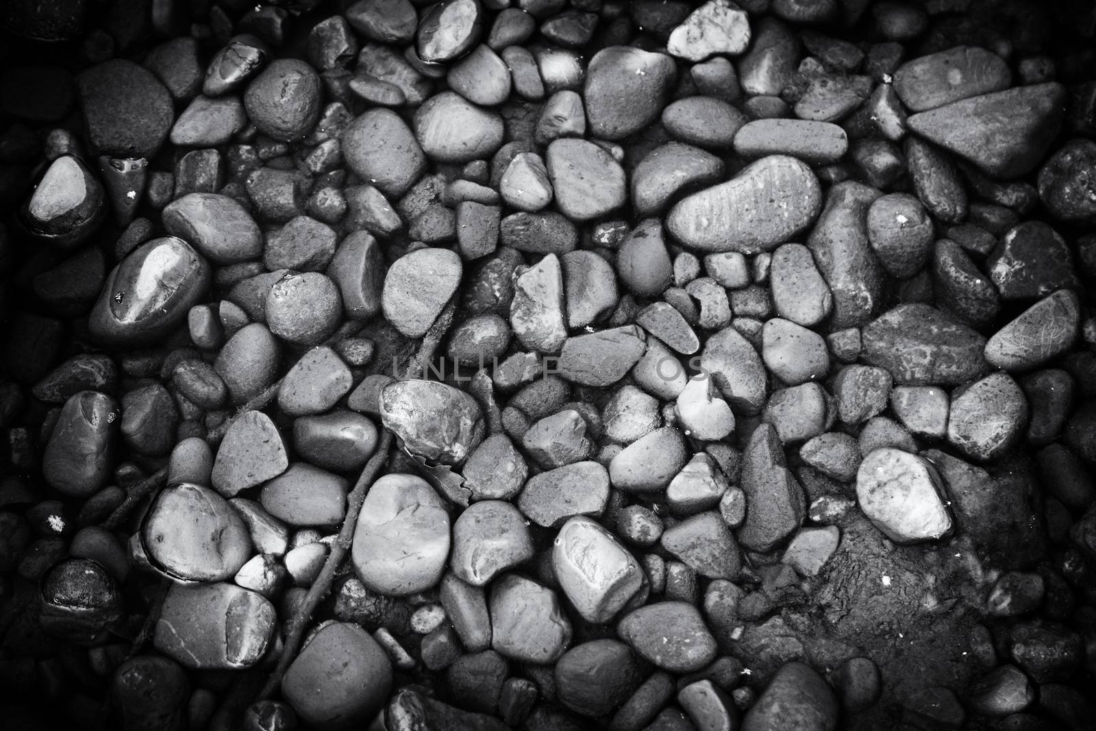 Wet river stones, detail of a background in a river