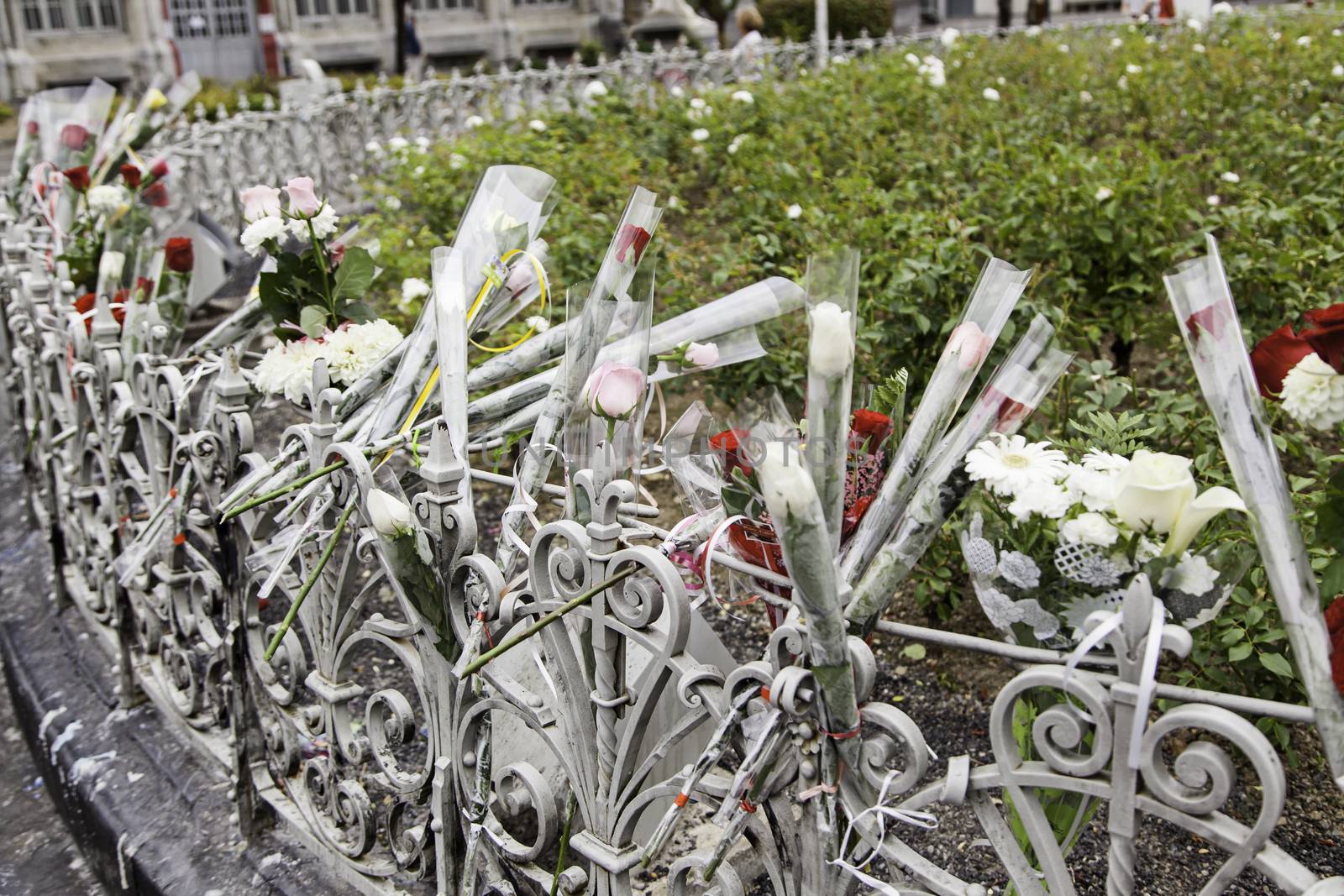 Flowers in homage against terrorism, detail in favor of the victims of terrorism