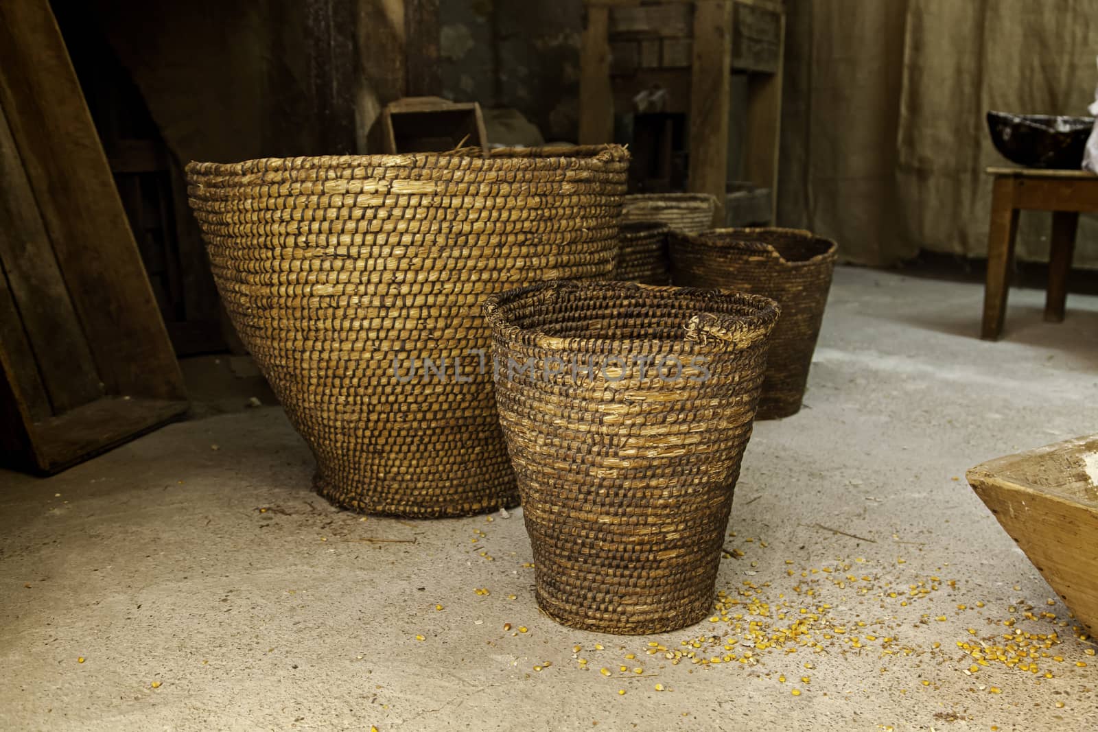 Detail of raw corn in an esparto sack, detail of dry cereal