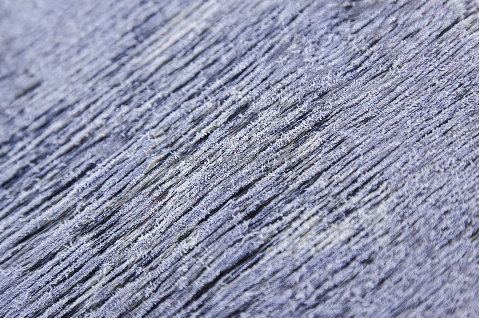 Detail of frozen wood in winter, detail of cold and ice