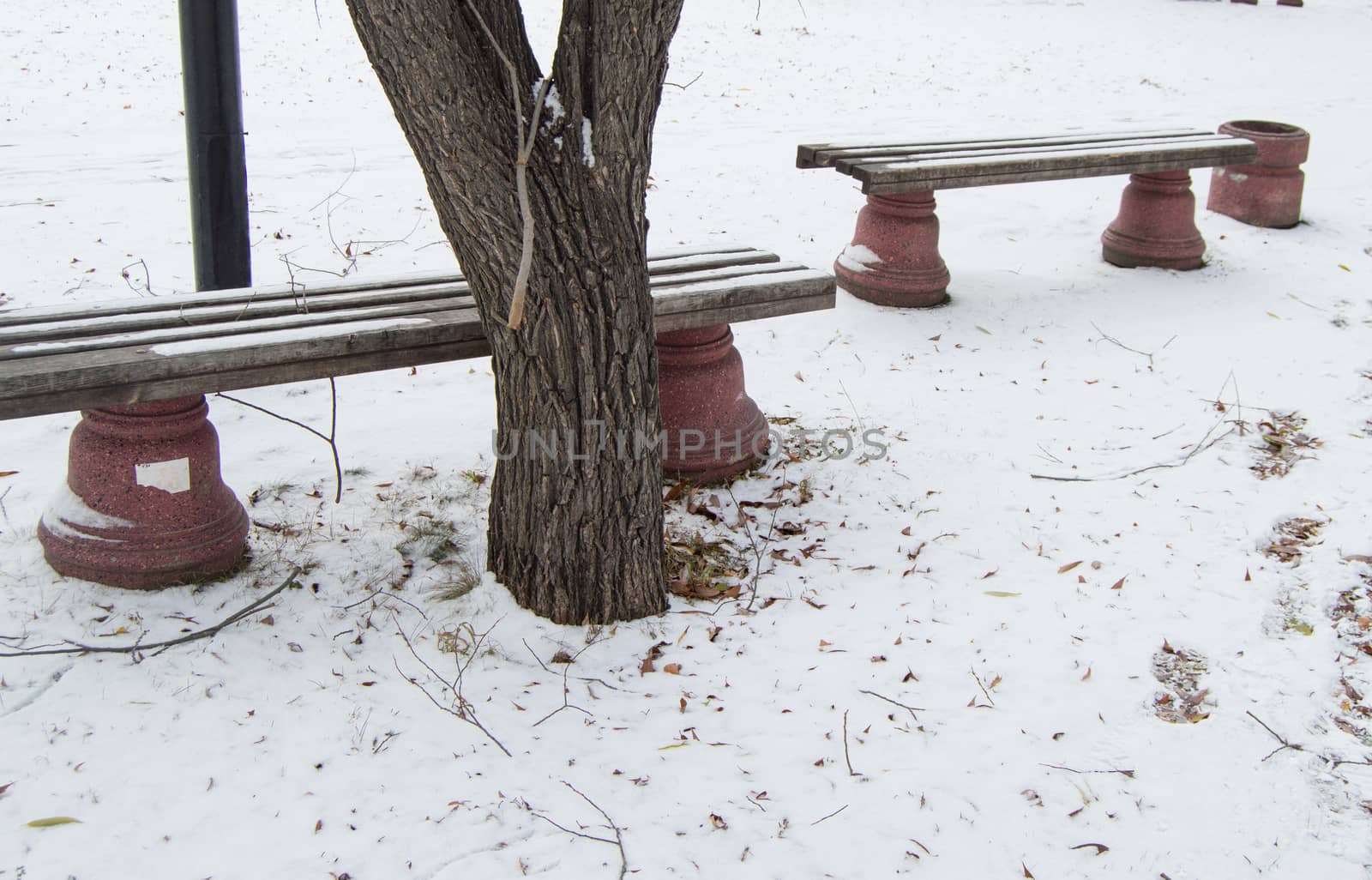 Several wooden benches in the winter city Park, the first snow.