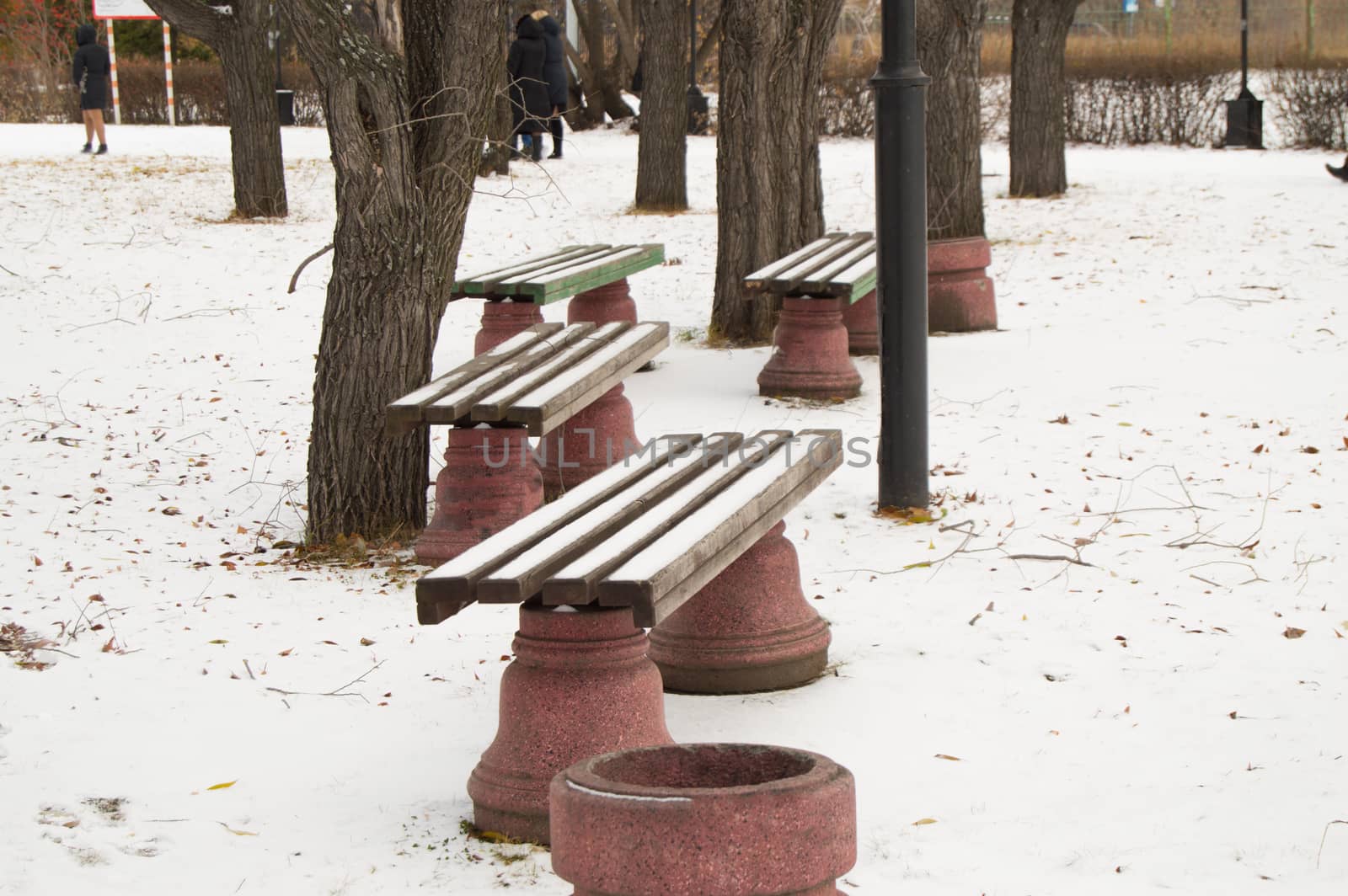 Several wooden benches in the winter city Park, the first snow.