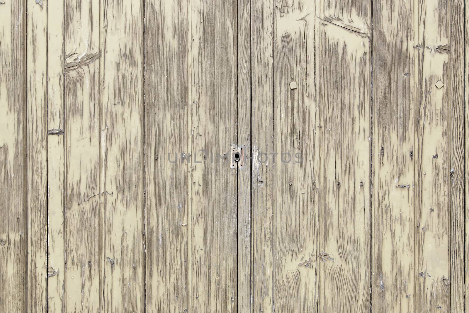 Wood background texture, old spoiled wood