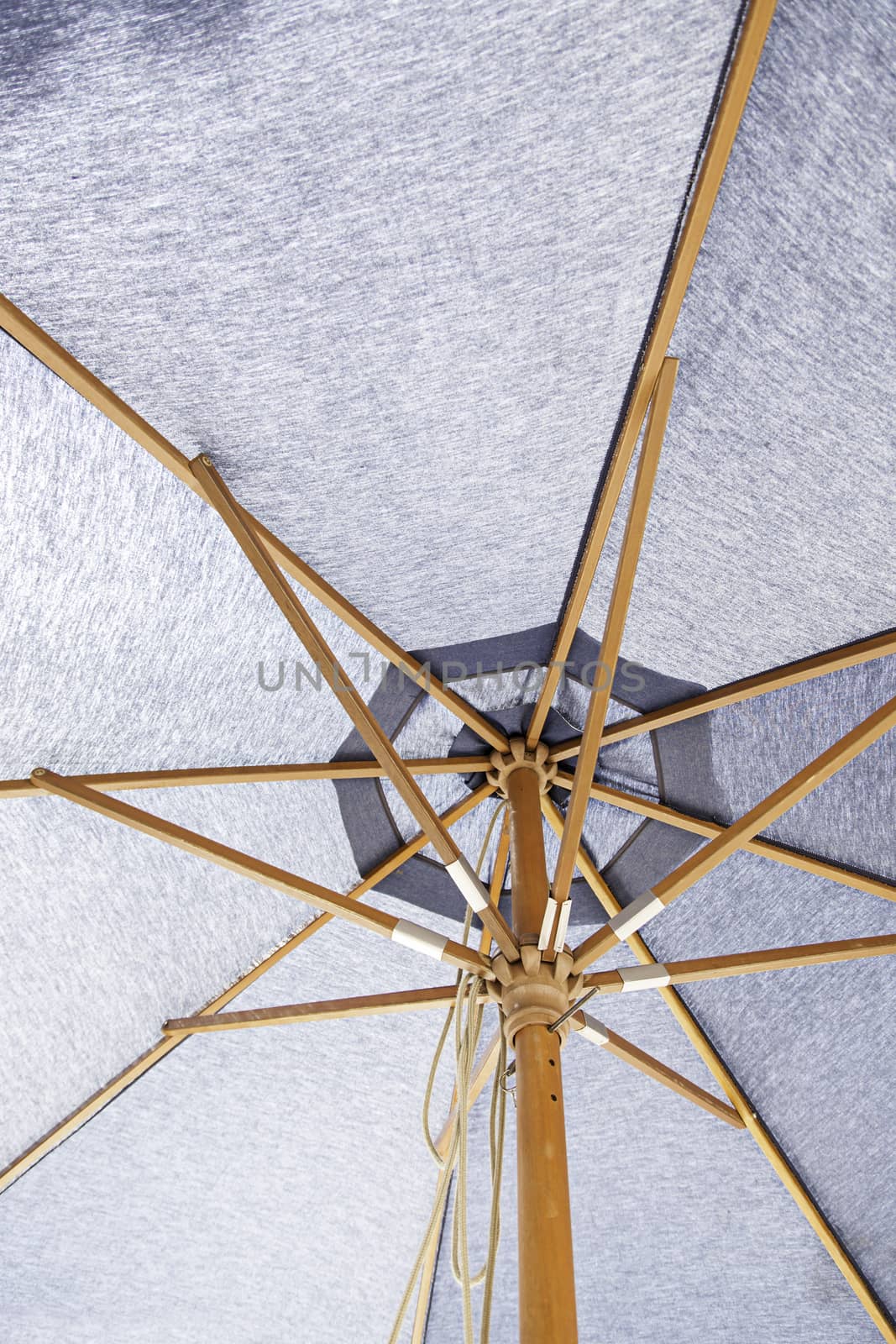 Umbrella fabric, detail of summer