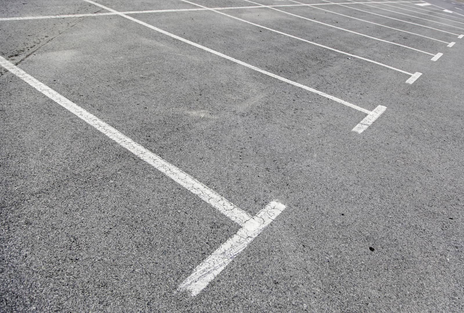 Lines parking, a detailed indication lines on the asphalt