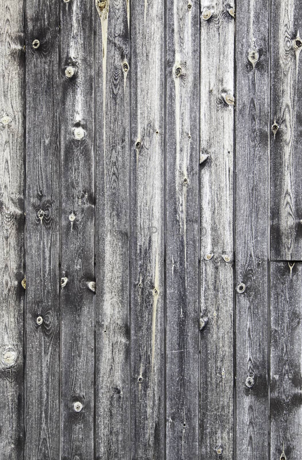 Old gray wood detail of a wooden background texture