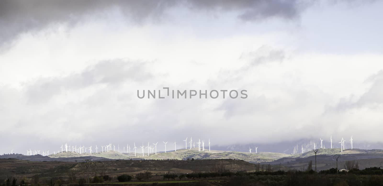 Wind energy in nature by esebene