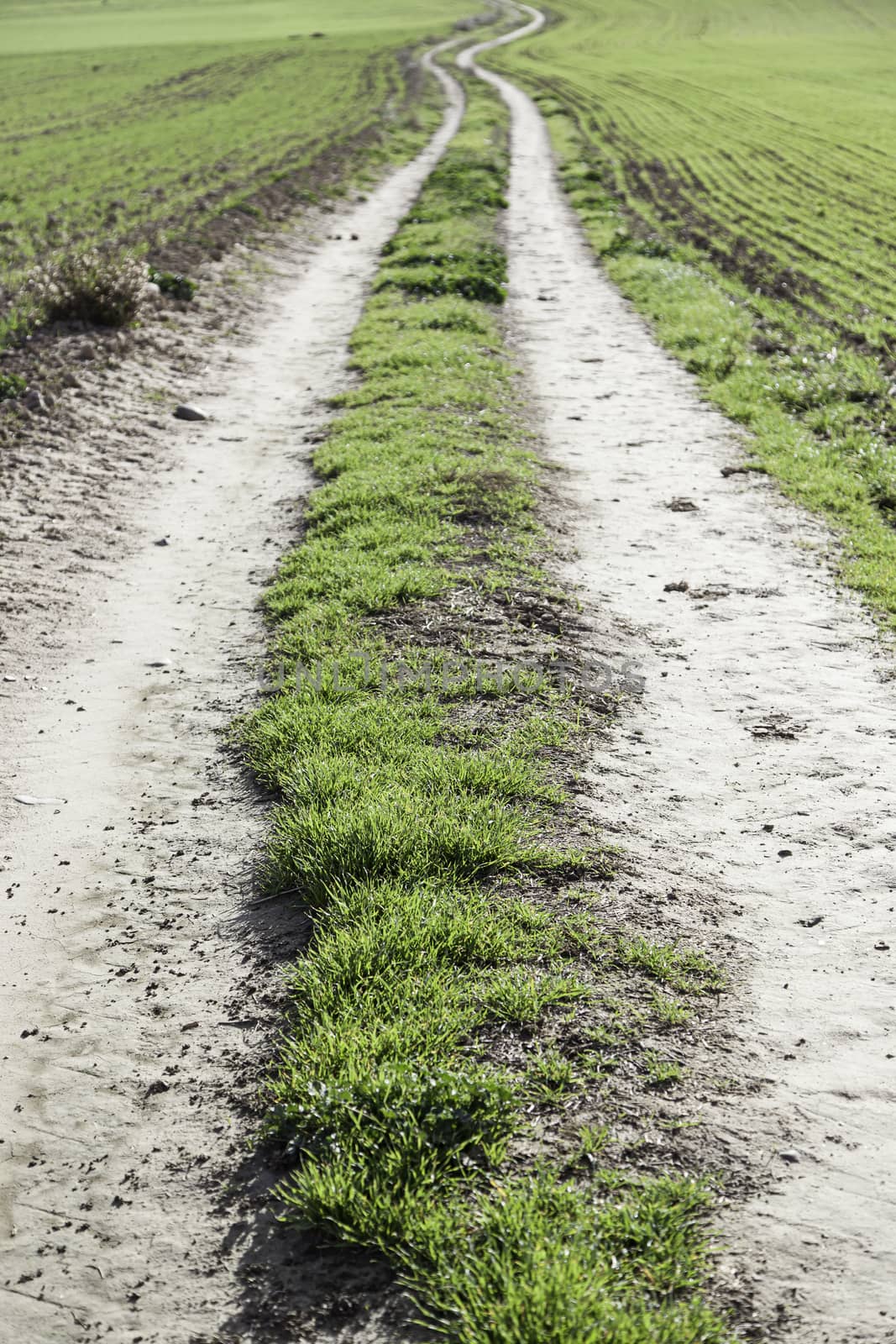 Dirt road mountain, detail of a pathway, and landscape naturaleja