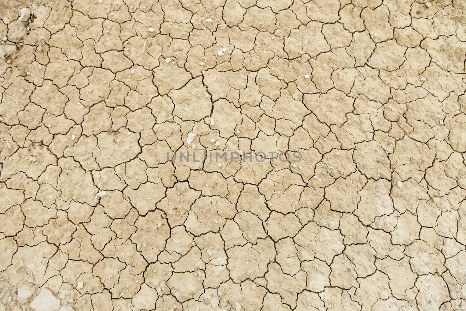 Dry soil by drought, natural disasters, climate change